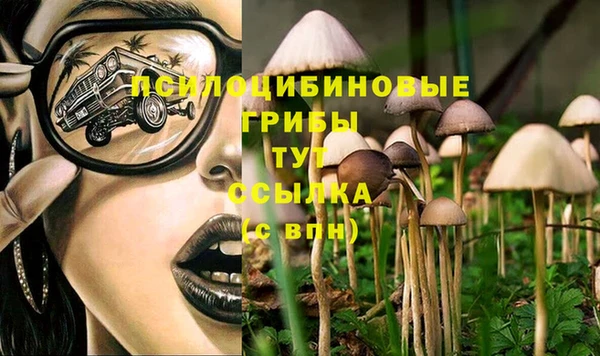 первитин Заволжье